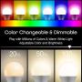 Geeni Prisma 1050 Lumens A21 Wi-Fi Multicolor Light Bulbs (2700K), 4-Pack – Dimmable LED Bulbs, 75-Watt Equivalent – No Hub Required – Works with Amazon Alexa, The Google Assistant