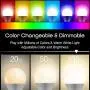 Geeni Prisma 1050 Lumens A21 Wi-Fi Multicolor Light Bulbs (2700K), 4-Pack – Dimmable LED Bulbs, 75-Watt Equivalent – No Hub Required – Works with Amazon Alexa, The Google Assistant