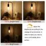Edison Led Bulbs Dimmable Light Bulb 8W - 75 Watt Equivalent Vintage Style Filament Bulb 2700K Warm White E26 650 Lumen 6-Pack