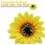 Timoo 12 PCS Sunflower Duckbill Hair Clip, Metal Alligator Hair Accessories for Beach, Summer Party