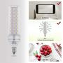 E12 LED Bulbs, 16W LED Candelabra Bulb 120 Watt Equivalent,1400lm, Decorative Candelabra Base E12 Non-Dimmable LED Chandelier Bulbs, Daylight White 5000K, LED Corn Lamp, Pack of 4