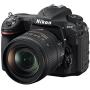 Nikon D500 DX-Format Digital SLR with 16-80mm ED VR Lens