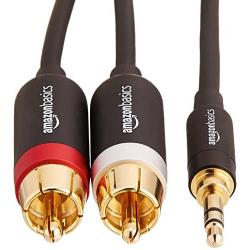 Amazon Basics 3.5mm to 2-Male RCA Adapter Audio Stereo Cable - 8 Feet