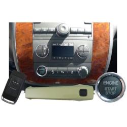 EasyGO AM-GMT-316N Smart Key Remote Start and Alarm System with Gold Mist Metallic Door Handle