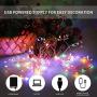 Darineey USB LED Fairy String Light Multi-Colors 8 Modes with Remote Control Timer 33ft 100 LED Mini Flexible Copper Twinkle Lights for Christmas Bedroom Wedding Party Indoor Outdoor