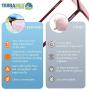 Migraine Glasses for Migraine Relief and Light Sensitivity Relief Terramed Sparrow Unisex Women or Men | Fl-41 Migraine Glasses for Computers Indoor Reading Photophobia Eye Strain (Graphite)
