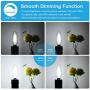 12-Pack Dimmable E12 LED Candelabra Bulbs 60W Equivalent, 5000K Daylight White, 600 Lumens B11 Candle Base 6W C35 LED Filament Vintage Light Bulbs, Clear Glass for Chandelier Ceiling Fan High CRI 90+