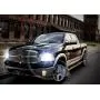 Xentec H11 (H8/H9) 6000K HID xenon bulb x 1 pair bundle with 2 x 35W Digital Slim Ballast (Ultra White)