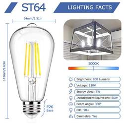 12Packs Vintage LED Edison Bulbs, 60W Equivalent 7W, 800Lumens, Dimmable ST64 Antique LED Filament, Daylight White 5000K, E26 Medium Base Light Bulbs High Brightness Clear Glass for Bedroom Office
