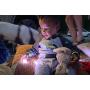 MPOWERD Luci String Lights