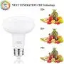 LED Bulb R30 or BR30 , 12W (100W Equivalent), 1200 Lumens, Upgrade for 100W Bulb, 3000K Soft White Color, for Recessed Can Use, Wide Flood Light, Dimmable, (Pack of 4) LED Bulb R30 or BR30 , 12W (100W Equivalent), 1200 Lumens, Upgrade for 100W Bulb, 3000K Soft White Color, for Recessed Can Use, Wide Flood Light, Dimmable, (Pack of 4)