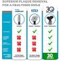 Electric Toothbrush, 30 Second Smile Shine TSS300 White Electronic Power Rechargeable Toothbrush with Reciprocating Motion, 2 Brushing Speeds, 2 Brush Heads