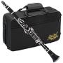 Jean Paul USA CL-300 Student Clarinet