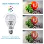 [Upgrade] SANSI 2000 Lumens 16W LED Light Bulbs 3000K Warm White Daylight 150W Equivlent, A19 Non-dimmable LED Light Bulbs, E26 Base, 4 Pack