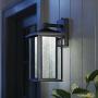 Home Decorators Collection Black Medium Outdoor Seeded Glass Dusk to Dawn LED Wall Lantern