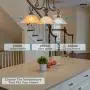 Dimmable LED Edison Light Bulbs: 6 Watt, 4000K Cool White Lightbulbs - 60W Equivalent - E26 Base - Vintage Light Bulb Set - 6 Pack