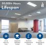 Hyperikon 2 Foot LED Tube, Glass T8 T10 T12, 10W=32W, Single End Ballast Bypass, Frosted Lens, UL, DLC, Daylight White, 25 Pack