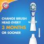 Arm & Hammer Spinbrush PRO Series Clean Replacement Brush Heads, Soft, 2 Count