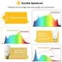 Emeritpro Full Spectrum Light Bulb 9W(80W Equivalent), LED A19 Grow Light Bulb for Plants, Soft White 3000K, E26 Base, Near-Perfect Sunlike Spectrum Supports Circadian Rhythm, 800lm, 2 Pack