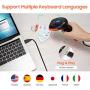 Tera CCD Barcode Scanner Wired Bar Code Reader USB 1D Linear Bar Code Scanner Fast and Precise Scan for Screen Digital Tablets Laptop Smartphone Barcode