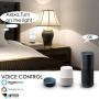 WiFi Smart Plug, LINGANZH Smart Socket Compatible with Alexa Echo Google Home, Mini WiFi Plug Timer Schedule Remote Control from Anywhere, No Hub Required