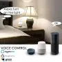 WiFi Smart Plug, LINGANZH Smart Socket Compatible with Alexa Echo Google Home, Mini WiFi Plug Timer Schedule Remote Control from Anywhere, No Hub Required