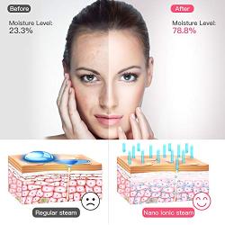 Nano Mist Face Steamer - Warm Mist Spa Facial Steamer Sprayer with LED Makeup Mirror (pink1)