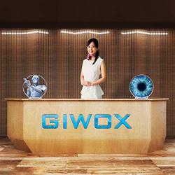 GIWOX Tabletop 3D Hologram Fan Display Projector with Rechargeable Battery, Transparent Silent Protect Cover and Handle Level Design - Mini Size and Protable Holographic Fan Display (12Inch)