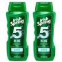 Irish Spring 5-in-1 Shampoo, Conditioner, Body Wash, Face Wash and Deodorizer, 18 oz (Pack of 2)