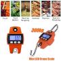 XIANGYANG Digital Crane Scale 300kg/600lb Hanging Weight Scale Electronic Crane Scale with Accurate Sensors Heavy Duty Hanging Scale for Hunting, Bass Fishing, Farm, Large Luggage