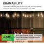 Sunco Lighting 4 Pack ST64 LED Bulb, Dimmable, Waterproof, 8.5W=60W, 3000K Warm White, Vintage Edison Filament Bulb, 800 LM, E26 Base, Restaurant or String Lights - UL