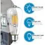 Dimmable LED Edison Light Bulbs: 6 Watt, 4000K Cool White Lightbulbs - 60W Equivalent - E26 Base - Vintage Light Bulb Set - 6 Pack