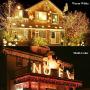 Decute Colors Changing Christmas Lights Outdoor Indoor 99FT 300LED Extendable, 11 Modes Christmas String Lights Warm White & Multicolor Changing Waterproof Tree Light with Timer Remote