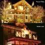 Decute Colors Changing Christmas Lights Outdoor Indoor 99FT 300LED Extendable, 11 Modes Christmas String Lights Warm White & Multicolor Changing Waterproof Tree Light with Timer Remote