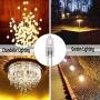 12 Pack, G4 Halogen Light Bulb , T3 JC Type Clear 20W 12V AC/DC Bi-Pin Bulb for Landscape Lighting,Accent Lights, Track Lighting,Under Cabinet Puck Light, Chandeliers,360°Beam Angle/Warm White