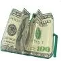 Hundred Dollar Bill Benjamin Franklin Front Windshield Sun Shade - Accordion Folding Auto Sunshade for Car Truck SUV - Blocks UV Rays Sun Visor Protector - Keeps Your Vehicle Cool - 58 x 28 Inch