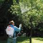 Chapin 61800 4Gal Backpack Sprayer, 4-Gallon, Translucent White
