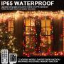 Decute Colors Changing Christmas Lights Outdoor Indoor 99FT 300LED Extendable, 11 Modes Christmas String Lights Warm White & Multicolor Changing Waterproof Tree Light with Timer Remote
