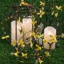Artificial Winter Jasmine String Lights, 30 LED 10FT Battery Powered Flower Garland Fairy Lights with Remote for Garden Bedroom Wedding Birthday Party Holiday Vine Lights Décor