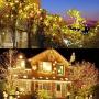Decute 500 LED Christmas Tree String Lights 164FT Connectable with Remote, 8 Modes & Timer Outdoor Indoor Warm White Twinkle Starry Lights for Halloween Patio Garden Wedding Party Decor
