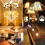 GY6.35 Halogen Bulb 50W Dimmable, Q50/CL/GY6/12V/T3/T4 JC Type GY6.35/G6.35 Bi-pin Base, AC/DC 12V, Warm White 2700K (10 Pack)