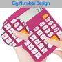 Helect Calculator, Standard Function Desktop Calculator, Plum