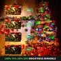 Decute Colors Changing Christmas Lights Outdoor Indoor 99FT 300LED Extendable, 11 Modes Christmas String Lights Warm White & Multicolor Changing Waterproof Tree Light with Timer Remote