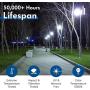 Hyperikon LED Light Bulb 45W=250W, High Efficiency Corn Bulb, Omnidirectional, E26 Base, UL, Crystal White, 4 Pack