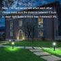 Dusk to Dawn Night Light Bulbs 6W E12 Light Sensor Bulb 6000K 60w Equivalent LED Bulb E12 LED Candelabra Bulb Base,Auto On and Off for Home,Outdoor,Yard Light,White (2 Pack)