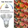 Par20 Bulbs, 6 Pack 120V 50W Par20 Flood Light Bulbs, E26 Medium Base Long Lasting Life High Output Par20 50W Halogen Bulb -Warm Light