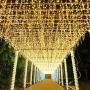 ZIMINGU Icicle Lights, 13FT, 144 LEDs, 8 Modes Christmas Lights Outdoor Connectable Dripping Curtain Decoration String Lights for Wedding Thanksgiving Gazebo Shopping Mall Yard Indoor (Warm White)
