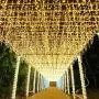 ZIMINGU Icicle Lights, 13FT, 144 LEDs, 8 Modes Christmas Lights Outdoor Connectable Dripping Curtain Decoration String Lights for Wedding Thanksgiving Gazebo Shopping Mall Yard Indoor (Warm White) ZIMINGU Icicle Lights, 13FT, 144 LEDs, 8 Modes Christmas Lights Outdoor Connectable Dripping Curtain Decoration String Lights for Wedding Thanksgiving Gazebo Shopping Mall Yard Indoor (Warm White)