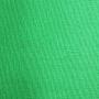 Neewer 10 x 12FT / 3 x 3.6M PRO Photo Studio Premium Polyester Collapsible Backdrop Background for Photography,Video and Televison (Background ONLY) - GREEN