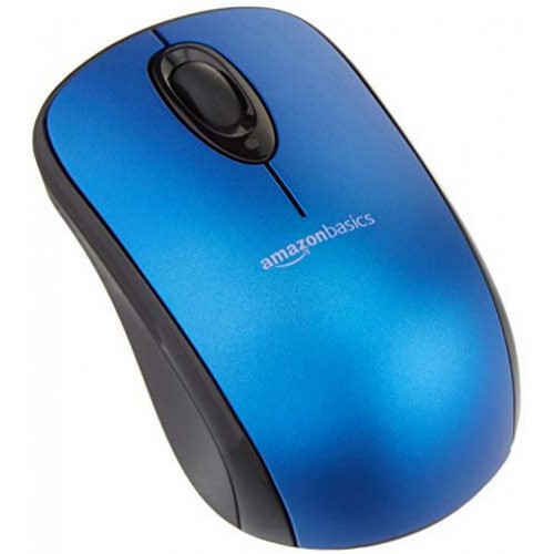 Computer Mouse